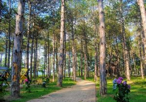 Zahrada ubytování LONGOSPHERE GLAMPING
