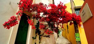 Fotografie z fotogalerie ubytování Villa Orestis v destinaci Archanes