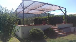 Zahrada ubytování Casa Patrizia