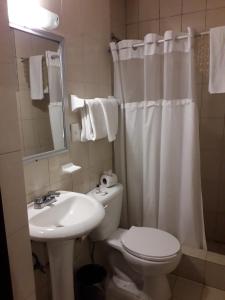 サン・ルイス・ポトシにあるHotel Napolesの白いトイレと洗面台のあるバスルーム