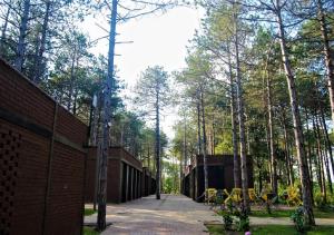Zahrada ubytování LONGOSPHERE GLAMPING