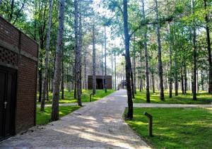 Zahrada ubytování LONGOSPHERE GLAMPING