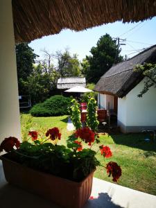 A garden outside Country house Balaton