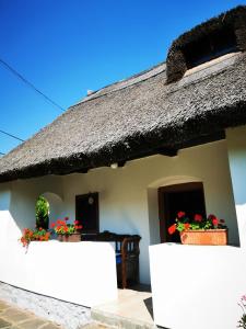 a small house with a thatched roof and two flower pots at Country house Balaton in Paloznak