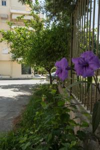 Vonkajšia záhrada v ubytovaní Nora's Home Kalamata