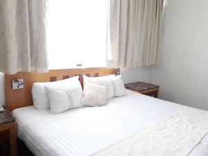 Fotografie z fotogalerie ubytování Hotel Napoles v destinaci San Luis Potosí