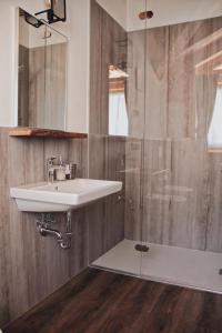 a bathroom with a sink and a shower at SAN ROMEDIO Agriturismo in Romeno