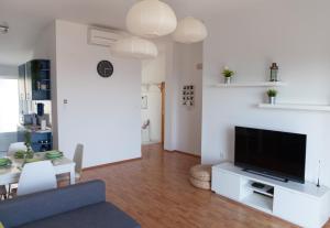 TV a/nebo společenská místnost v ubytování Apartment Iris