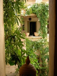 un miroir dans un jardin avec des plantes et une bouche d'incendie dans l'établissement Dar Zahia, à Taroudant