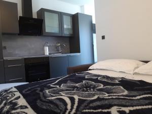 Il comprend une chambre avec un lit et une cuisine avec un évier. dans l'établissement Apartmani Ponistra, à Šibenik