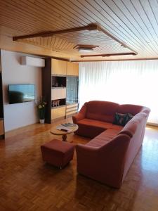 Foto dalla galleria di Apartments Novak a Ljubno
