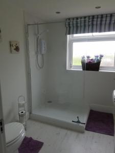 a bathroom with a shower with a toilet and a window at Grooms Cottage in Horncastle