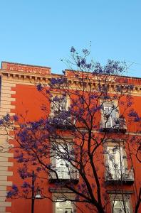 The building in which a vendégházakat is located