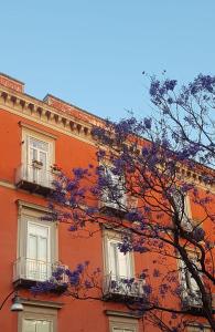 The building in which a vendégházakat is located