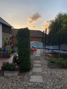 a garden with a hedge and a swimming pool at Apartment Martinec in Nové Město nad Metují