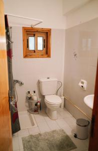 a bathroom with a toilet and a sink at Malietzis House in Pano Arodes +45 photos