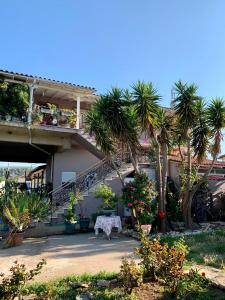 a house with palm trees and a table in the yard at Zygas House in Ágios Nikólaos