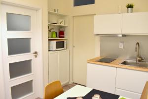 Kuchyňa alebo kuchynka v ubytovaní Designer holiday home Vinohrady! + 7 fotografií
