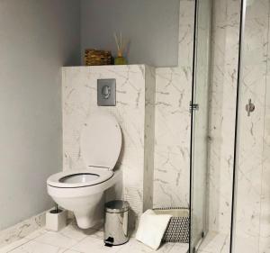 uma casa de banho com um WC e uma cabina de duche em vidro. em Casa Maranta em Costinesti