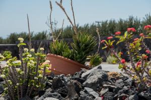 Gambar di galeri bagi George Farm Land di Karterados