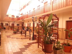 Fotografie z fotogalerie ubytování Hotel Cervantino v destinaci Tapachula