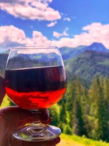 a person holding a glass of red wine at Holiday Home Krzysztoforow in Zakopane
