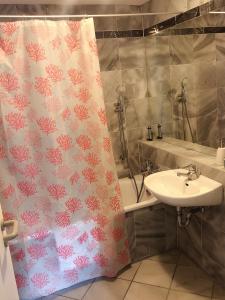 ein Bad mit einem Duschvorhang und einem Waschbecken in der Unterkunft Seehotel Luisenhof in Falkenhagen