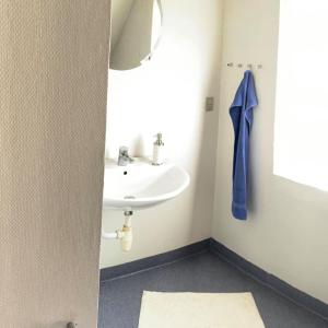 a bathroom with a sink and a mirror at Dortes Bed & Breakfast in Lintrup