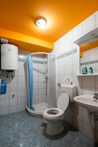 y baño con aseo, ducha y lavamanos. en Bled Hostel, en Bled