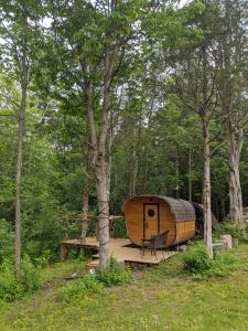 a wooden cabin in the middle of a forest at Salmon River Motel in Shannonville