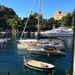 grupa łodzi zakotwiczona w porcie w obiekcie Pieds dans l'eau à Portofino by PortofinoVacanze w Protofino