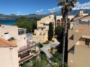 una vista aerea di una città con edifici e una palma di Duplex rénové les pieds dans l'eau a Calvi