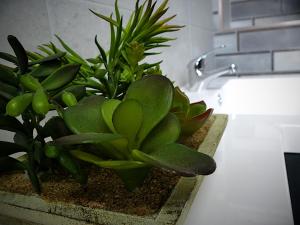 a bunch of plants sitting on a counter next to a sink at City Space in Doncaster