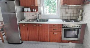 a kitchen with a stainless steel refrigerator and a sink at Maisonette with Garden& Parking Polichrono in Polychrono