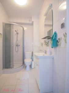 a bathroom with a shower and a toilet and a sink at Villa del Mar in Łeba