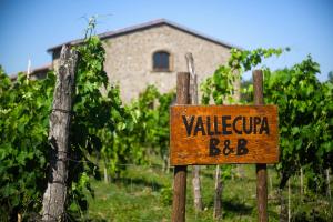 Certifikát, hodnocení, plakát nebo jiný dokument vystavený v ubytování B&B Vallecupa