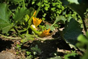 Fotografie z fotogalerie ubytování B&B Vallecupa v destinaci Farnese