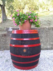 A garden outside La Casa Dei Nonni