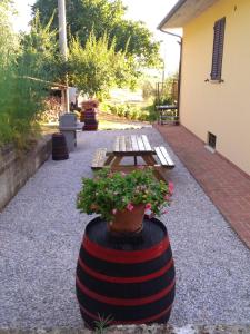 A garden outside La Casa Dei Nonni
