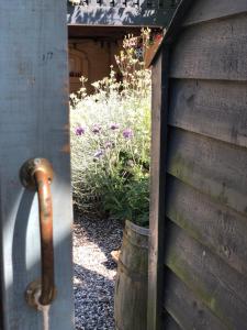 a wooden fence with a bucket next to a garden at Vangeled Gaard B&B - Apartments in Holtug