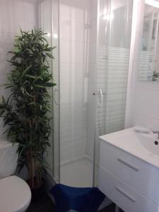 a bathroom with a shower and a toilet and a sink at Studio Molière in Montpellier
