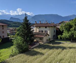a house with a christmas tree on top of a field at La finestra sul Brenta in Lasino