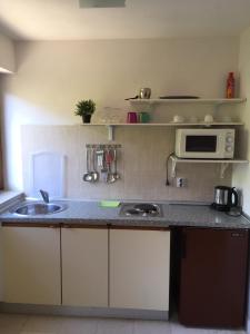 a kitchen with a sink and a microwave at Apartments Lada in Orebić