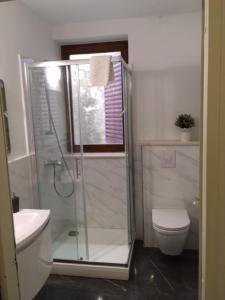 ein Bad mit einer Dusche, einem WC und einem Waschbecken in der Unterkunft Apartments Lada in Orebić