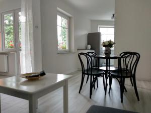 Χώρος καθιστικού στο RiC Apart - Apartament Mostowa, centrum Poznań - parking - klimatyzacja