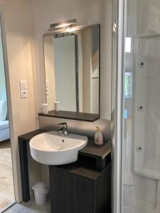 a bathroom with a sink and a mirror at La Chambre des Bobines in Montigny-sur-lʼAin