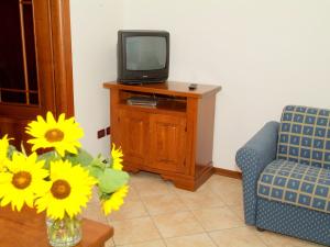 ein Wohnzimmer mit einem TV und einer Vase aus Blumen in der Unterkunft Luxurious Apartment in Gosau near Ski Area in Molina di Ledro
