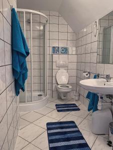 a bathroom with a toilet and a shower and a sink at Apartament Ustronie Leśne in Międzyzdroje