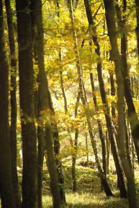 Photo de la galerie de l'établissement Gästehaus Wilgersdorf GmbH, à Wilnsdorf