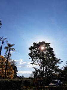 uma árvore com o sol brilhando através dela em Pousada Vila Minas em Itanhandu